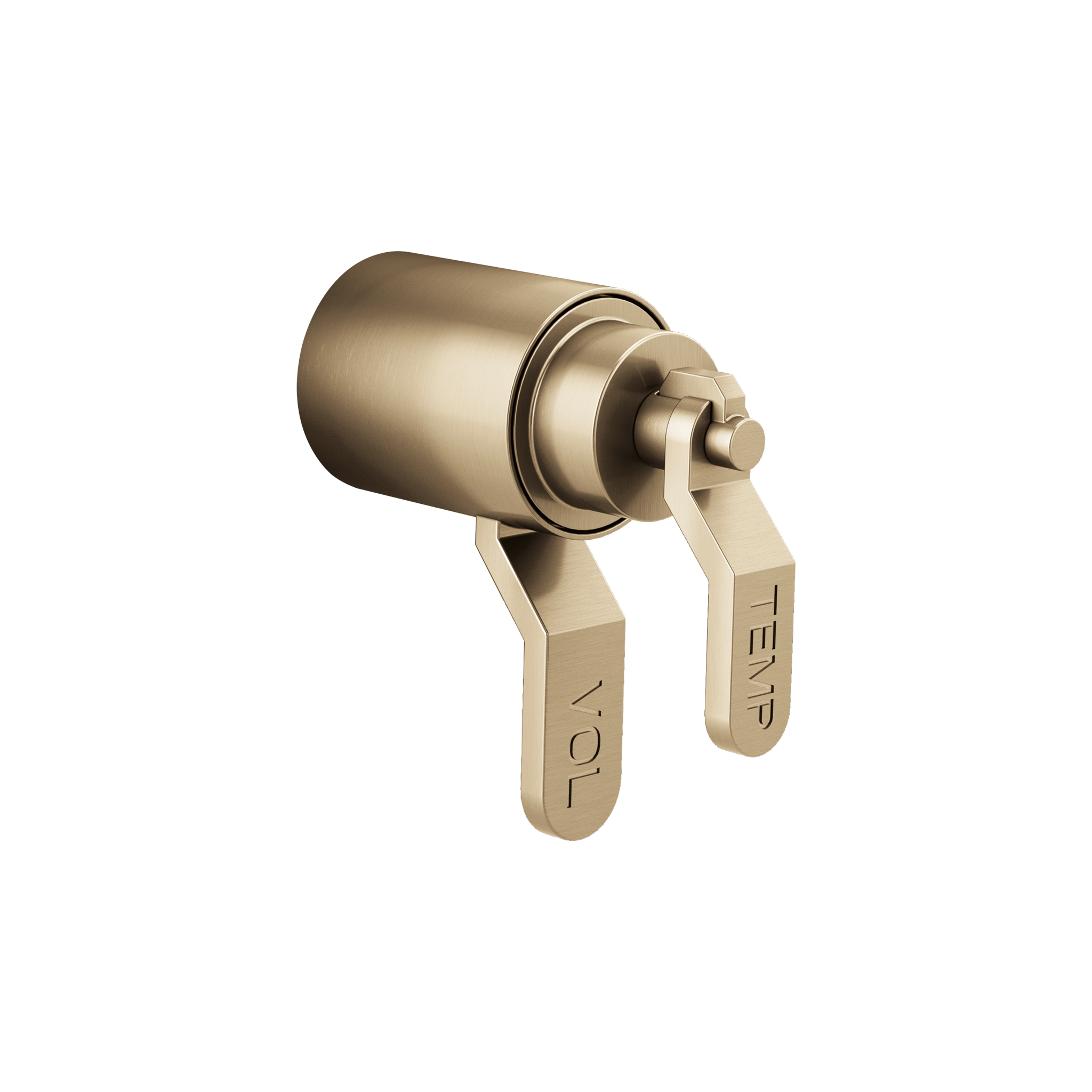 LITZE® TEMPASSURE® THERMOSTATIC TRIM HANDLE KIT - INDUSTRIAL LEVER - robinsonco.ca