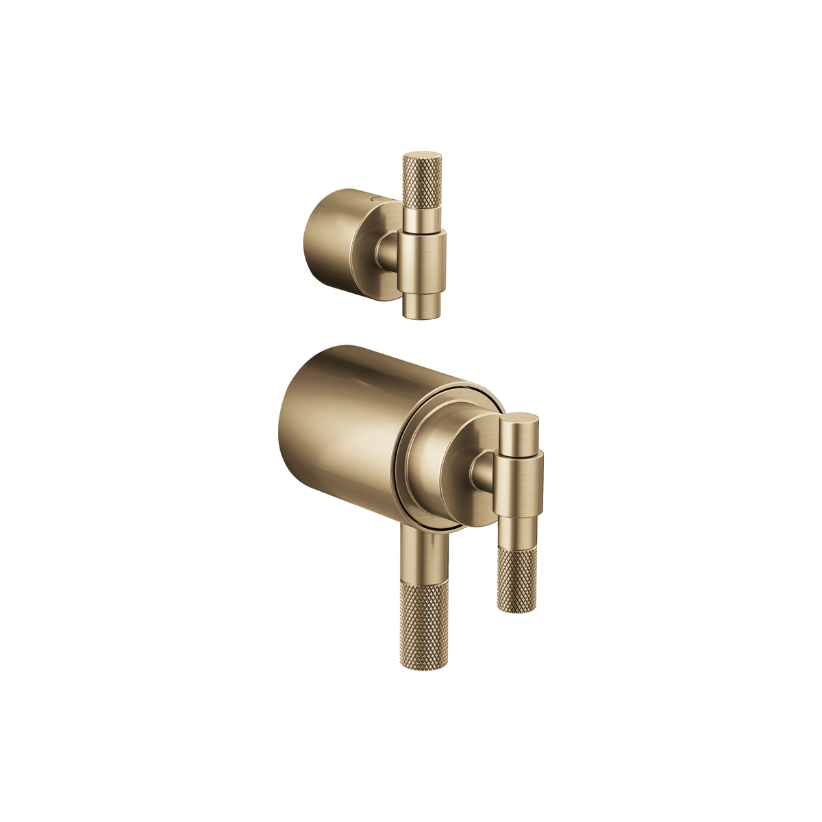 LITZE® TEMPASSURE® THERMOSTATIC VALVE WITH DIVERTER TRIM HANDLE KIT - T-LEVER - robinsonco.ca