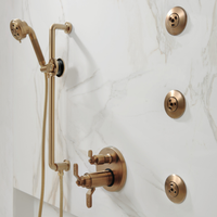 LITZE® TEMPASSURE® THERMOSTATIC VALVE WITH DIVERTER TRIM HANDLE KIT - INDUSTRIAL LEVER - robinsonco.ca