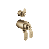 LITZE® TEMPASSURE® THERMOSTATIC VALVE WITH DIVERTER TRIM HANDLE KIT - INDUSTRIAL LEVER - robinsonco.ca
