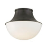 LETTIE 10.75" ONE LIGHT FLUSH MOUNT - robinsonco.ca