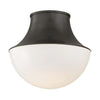 LETTIE 14.75" ONE LIGHT FLUSH MOUNT - robinsonco.ca