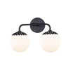 PAIGE 2-LIGHT VANITY FIXTURE - robinsonco.ca