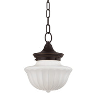 DUTCHESS PENDANT (MULTIPLE SIZES) - robinsonco.ca