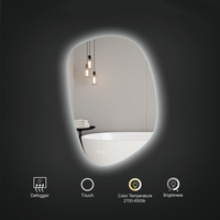 CORA LED MIRROR - robinsonco.ca