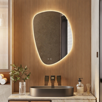 CORA LED MIRROR - robinsonco.ca