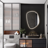CORA LED MIRROR - robinsonco.ca