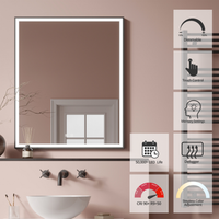 EDEN LED MIRROR