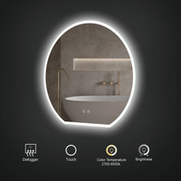HUDSON LED MIRROR