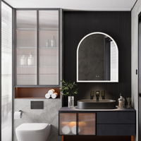 ODIN LED MIRROR - robinsonco.ca