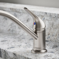 JOLT SINGLE-HANDLE KITCHEN SINK FAUCET - robinsonco.ca
