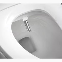 C3®-050 ELONGATED BIDET TOILET SEAT - robinsonco.ca
