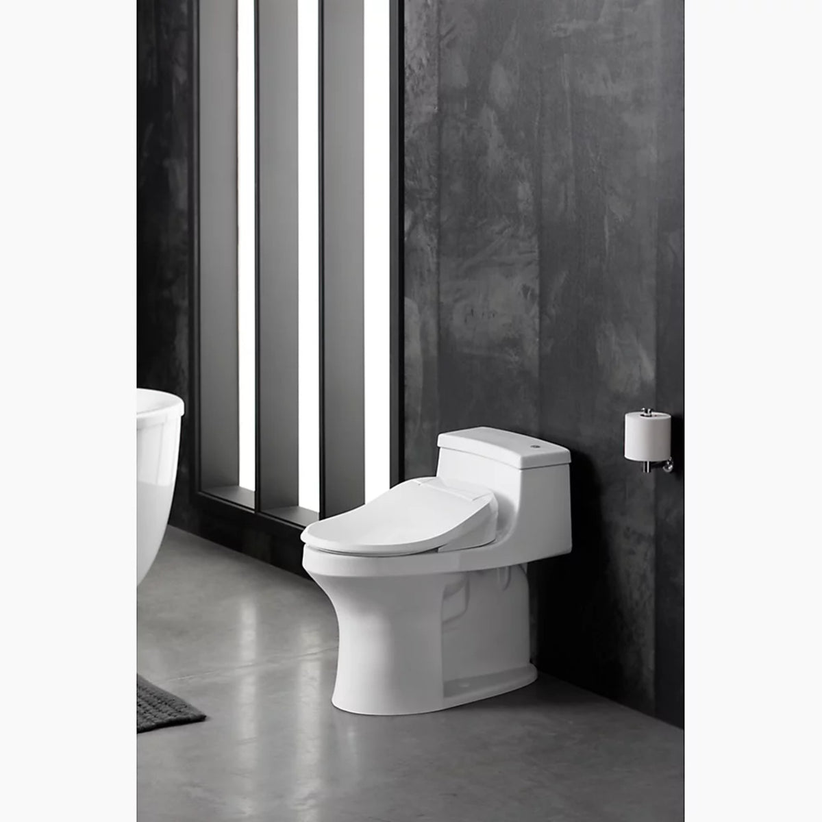 C3®-050 ELONGATED BIDET TOILET SEAT - robinsonco.ca