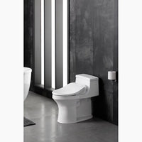 C3®-050 ELONGATED BIDET TOILET SEAT - robinsonco.ca