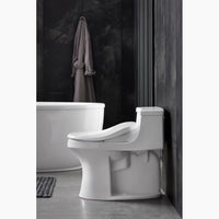 C3®-050 ELONGATED BIDET TOILET SEAT - robinsonco.ca