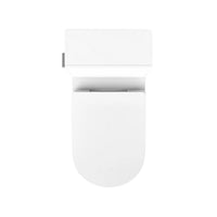BRAZN ONE-PIECE ELONGATED TOILET WITH SKIRTED TRAPWAY AND DUAL-FLUSH - robinsonco.ca