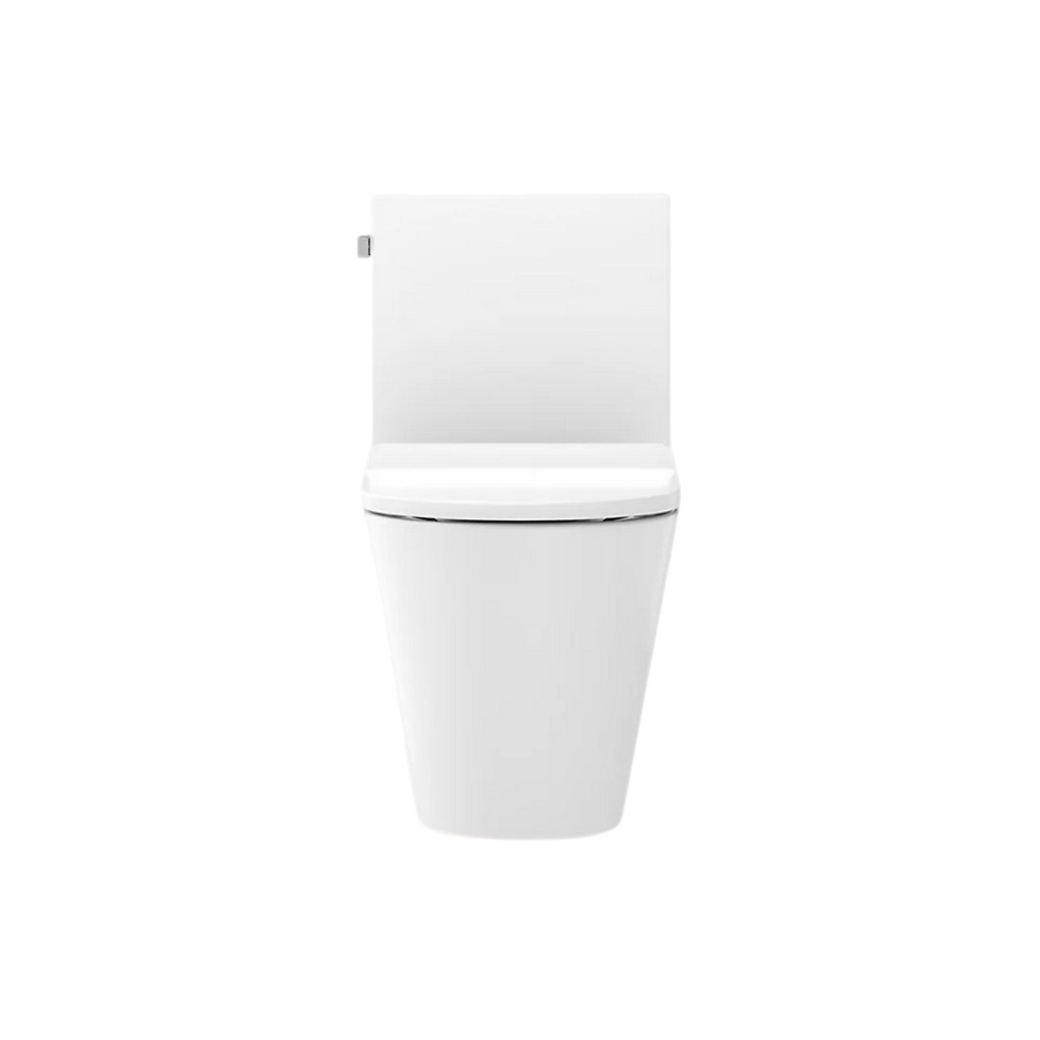 BRAZN ONE-PIECE ELONGATED TOILET WITH SKIRTED TRAPWAY AND DUAL-FLUSH - robinsonco.ca