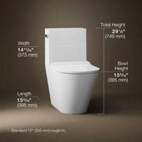 BRAZN ONE-PIECE ELONGATED TOILET WITH SKIRTED TRAPWAY AND DUAL-FLUSH - robinsonco.ca