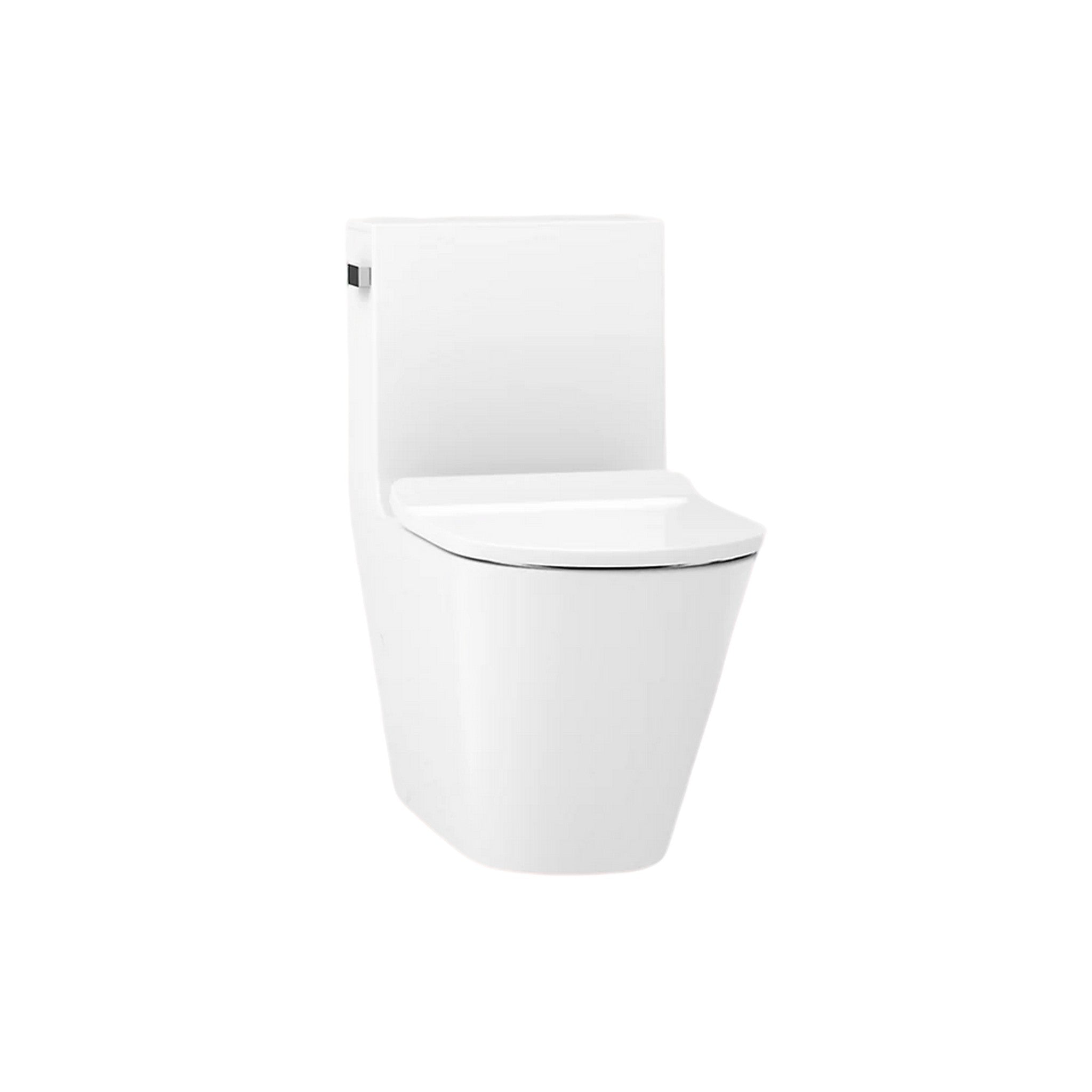 BRAZN ONE-PIECE ELONGATED TOILET WITH SKIRTED TRAPWAY AND DUAL-FLUSH - robinsonco.ca