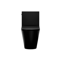 BRAZN ONE-PIECE ELONGATED TOILET WITH SKIRTED TRAPWAY AND DUAL-FLUSH - robinsonco.ca