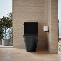 BRAZN ONE-PIECE ELONGATED TOILET WITH SKIRTED TRAPWAY AND DUAL-FLUSH - robinsonco.ca