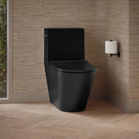 BRAZN ONE-PIECE ELONGATED TOILET WITH SKIRTED TRAPWAY AND DUAL-FLUSH - robinsonco.ca