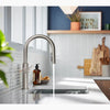 CRUE® PULL-DOWN SINGLE-HANDLE KITCHEN SINK FAUCET - robinsonco.ca