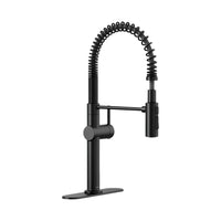 CRUE SEMI-PROFESSIONAL KITCHEN SINK FAUCET WITH THREE-FUNCTION SPRAYHEAD - robinsonco.ca