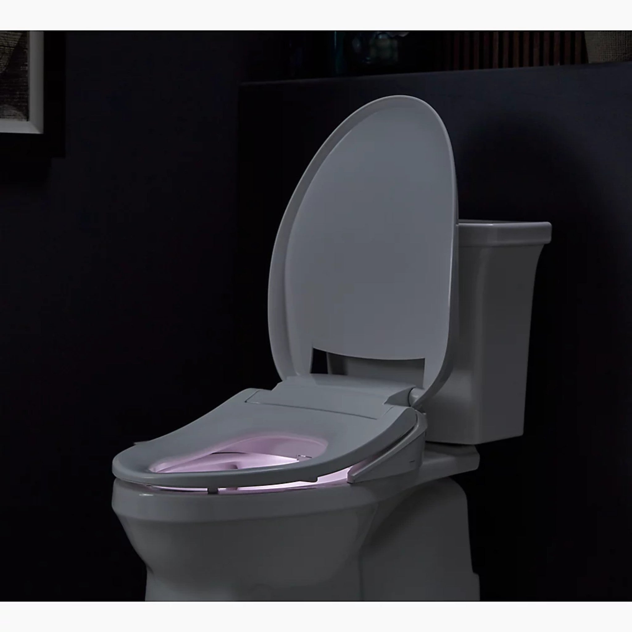 PUREWASH® E545 ELONGATED BIDET TOILET SEAT - robinsonco.ca