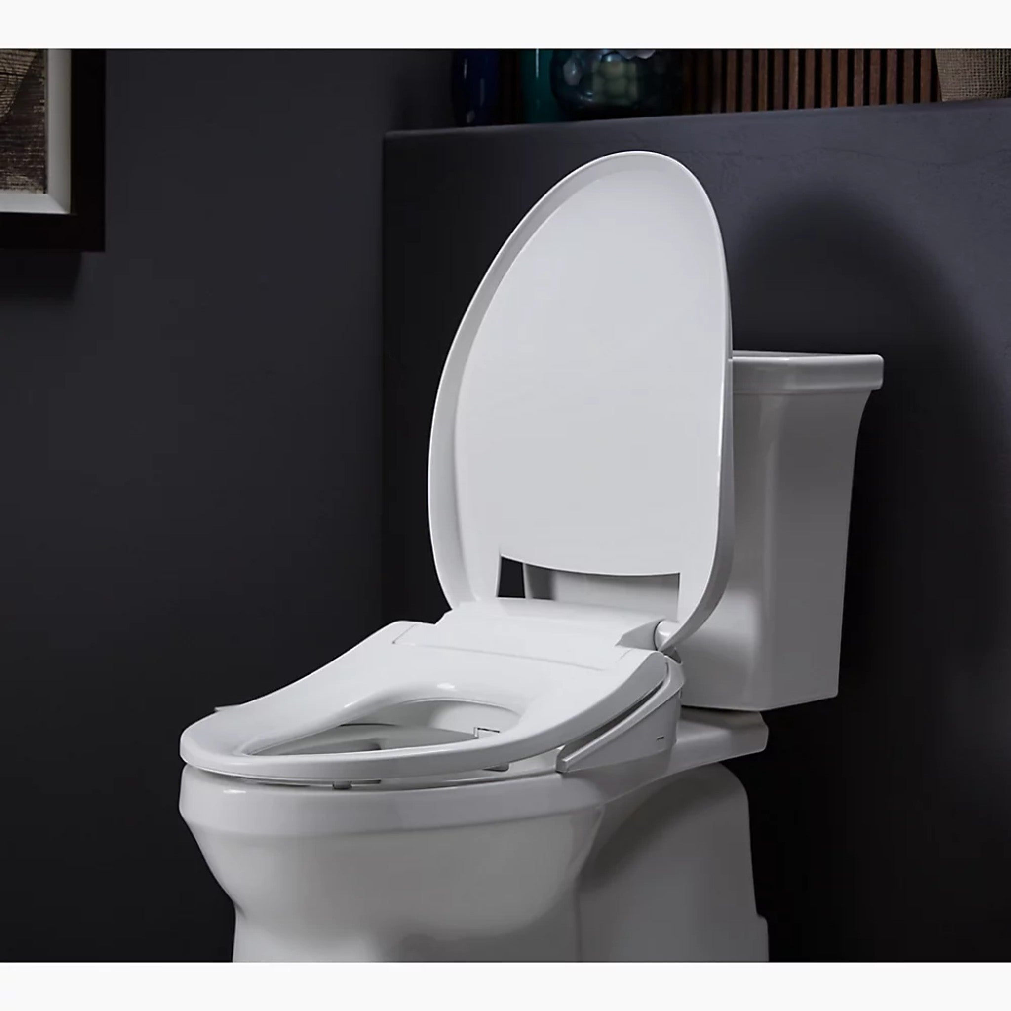 PUREWASH® E545 ELONGATED BIDET TOILET SEAT - robinsonco.ca