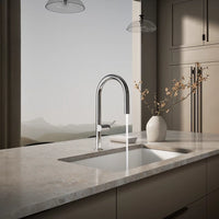 COMPONENTS® ARC SPOUT PULL-DOWN KITCHEN SINK FAUCET WITH TWO-FUNCTION SPRAYHEAD - robinsonco.ca