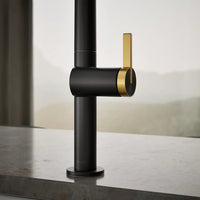 COMPONENTS® ARC SPOUT PULL-DOWN KITCHEN SINK FAUCET WITH TWO-FUNCTION SPRAYHEAD - robinsonco.ca