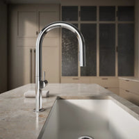 COMPONENTS® ARC SPOUT PULL-DOWN KITCHEN SINK FAUCET WITH TWO-FUNCTION SPRAYHEAD - robinsonco.ca