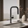 COMPONENTS® SQUARE SPOUT PULL-DOWN KITCHEN SINK FAUCET WITH TWO-FUNCTION SPRAYHEAD - robinsonco.ca