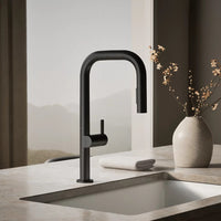 COMPONENTS® SQUARE SPOUT PULL-DOWN KITCHEN SINK FAUCET WITH TWO-FUNCTION SPRAYHEAD - robinsonco.ca