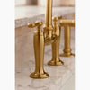EDALYN™ BRIDGE FAUCET WITH SIDE SPRAY - robinsonco.ca
