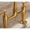 EDALYN™ BRIDGE FAUCET WITH SIDE SPRAY - robinsonco.ca
