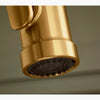 EDALYN™ PULL DOWN KITCHEN FAUCET BY STUDIO MCGEE - robinsonco.ca