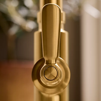 EDALYN™ PULL DOWN KITCHEN FAUCET BY STUDIO MCGEE - robinsonco.ca