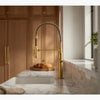 EDALYN™ SEMI-PROFESSIONAL KITCHEN SINK FAUCET BY STUDIO MCGEE - robinsonco.ca