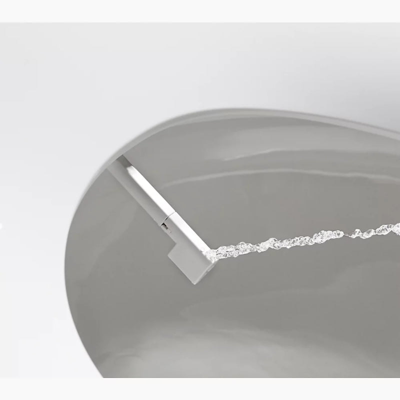 PUREWASH® M250 ELONGATED MANUAL BIDET TOILET SEAT - robinsonco.ca