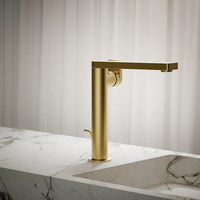 COMPOSED TALL SINGLE-HANDLE BATHROOM SINK FAUCET WITH LEVER HANDLE - robinsonco.ca