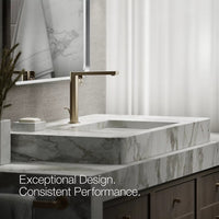 COMPOSED TALL SINGLE-HANDLE BATHROOM SINK FAUCET WITH LEVER HANDLE - robinsonco.ca
