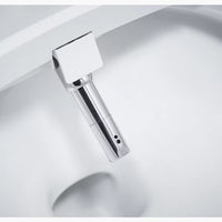 KARING ONE-PIECE ELONGATED SMART TOILET - robinsonco.ca
