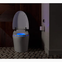 KARING ONE-PIECE ELONGATED SMART TOILET - robinsonco.ca