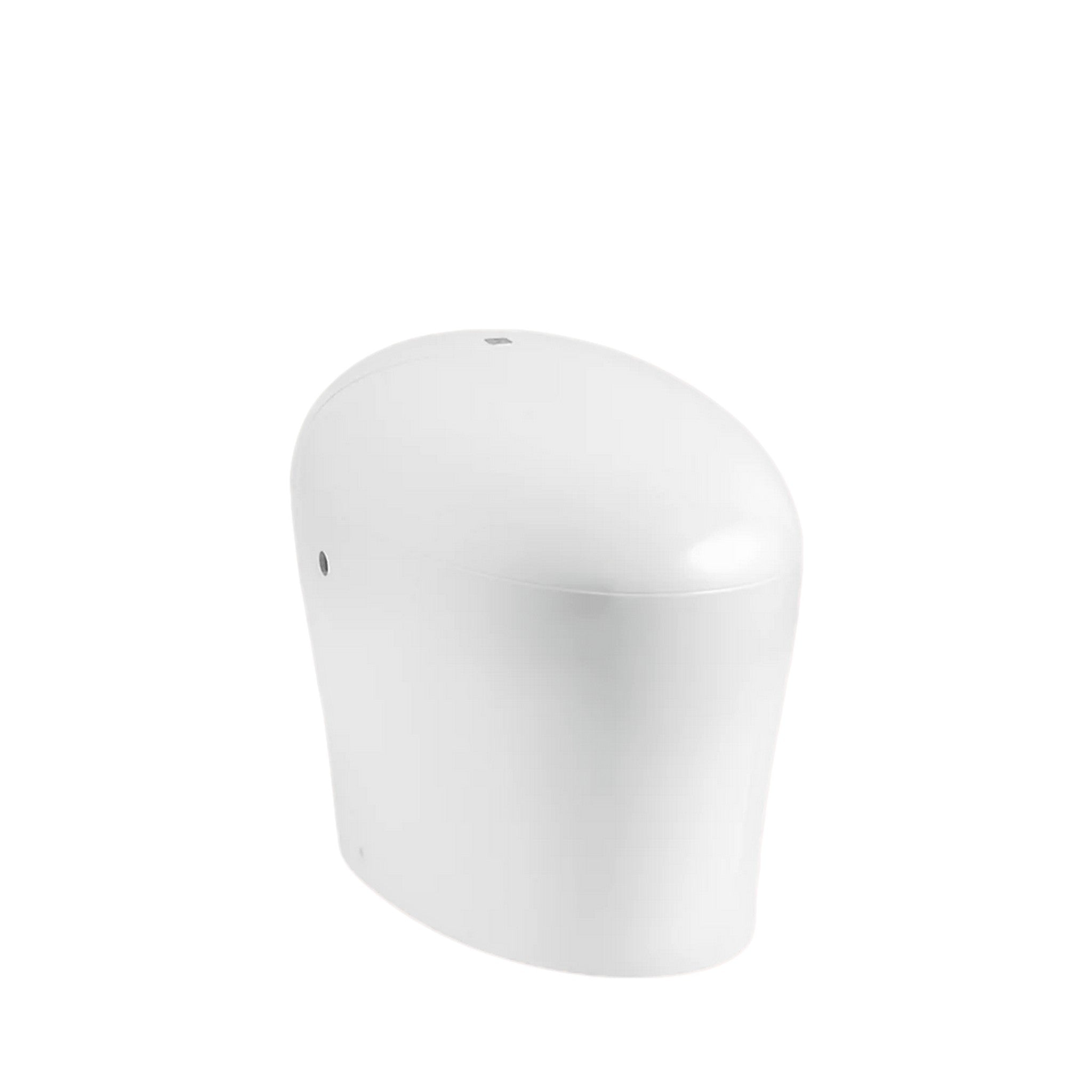 KARING ONE-PIECE ELONGATED SMART TOILET - robinsonco.ca