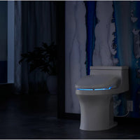 PUREWASH® E590 ELONGATED BIDET TOILET SEAT - robinsonco.ca
