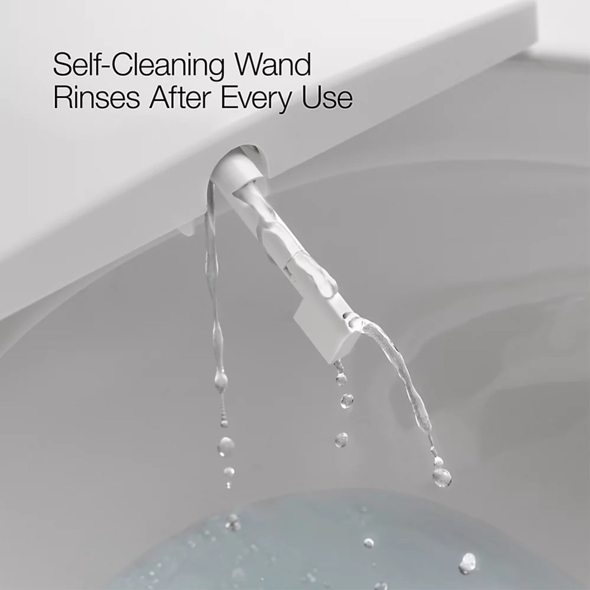 PUREWASH® E590 ELONGATED BIDET TOILET SEAT - robinsonco.ca