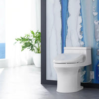 PUREWASH® E590 ELONGATED BIDET TOILET SEAT - robinsonco.ca