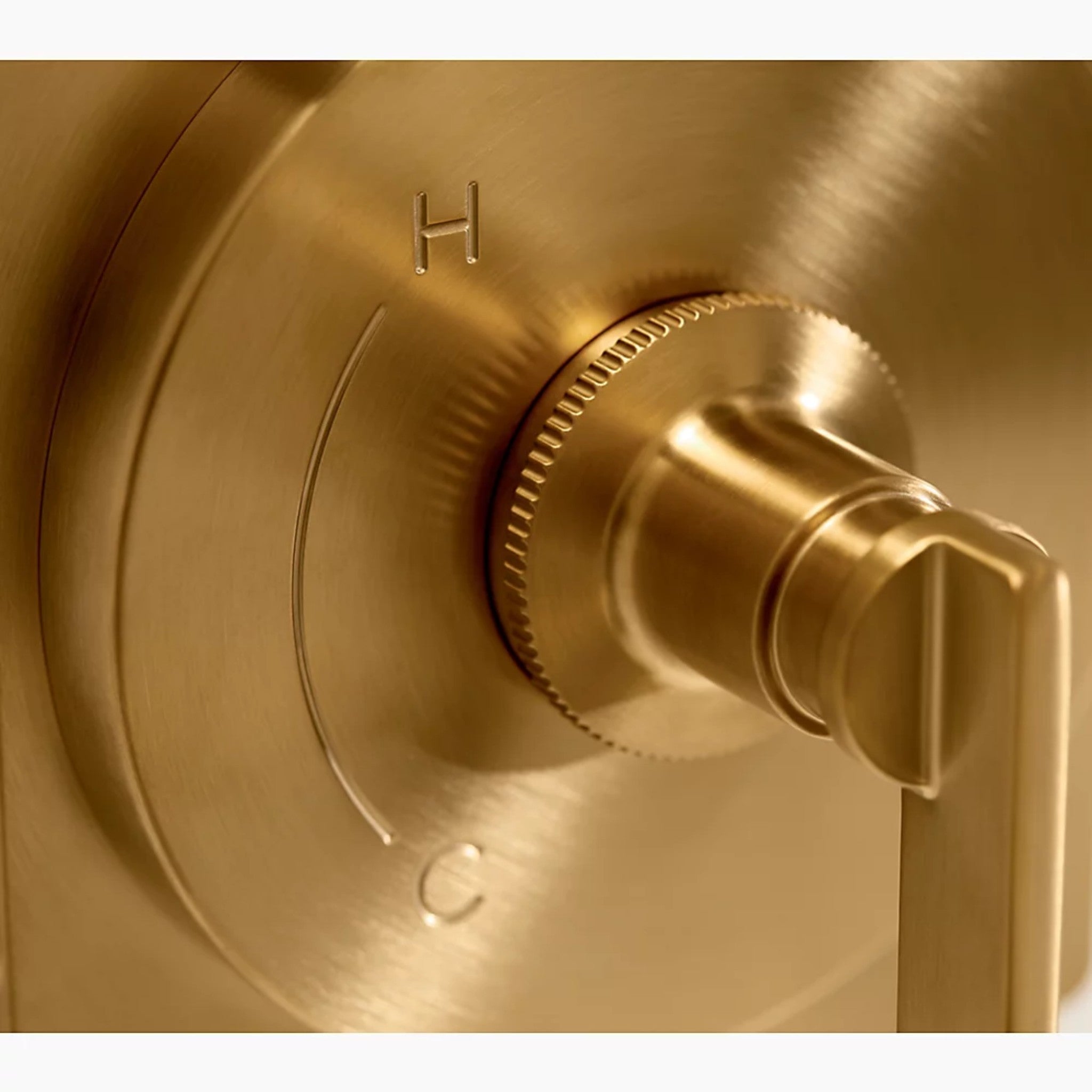 CASTIA™ TEMP SHOWER TRIM KIT BY STUDIO MCGEE - robinsonco.ca